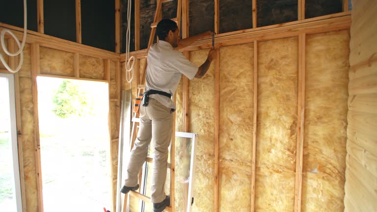 Best Basement Insulation  in USA